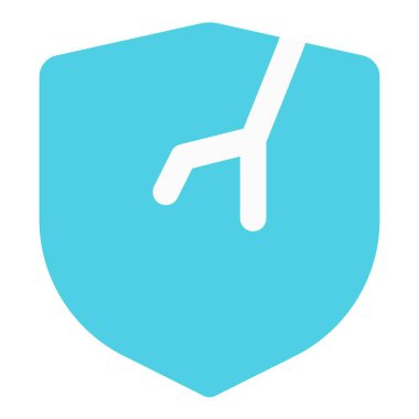 Yok edilen kalkan ve mahremiyet ihlali.