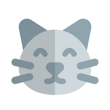 Evcil hayvan dükkanı çeşitli kediler satıyor.