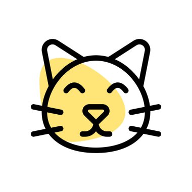 Evcil hayvan dükkanı çeşitli kediler satıyor.