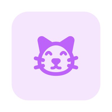 Evcil hayvan dükkanı çeşitli kediler satıyor.