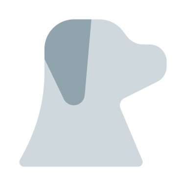 Duvara yapıştırılmış bir köpek resmi