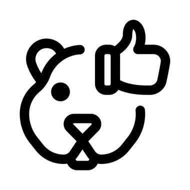 Hamsterlar kemirgen hayvanlar gibi popülerdir..