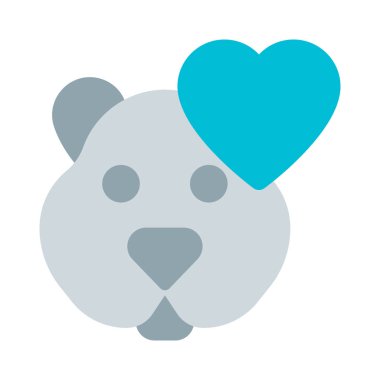 Evcil hayvan depolarında doğa dostu hayvanlar var..