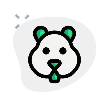 Hamsterlar bir çeşit evcil faredir..