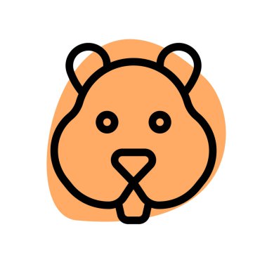 Hamsterlar bir çeşit evcil faredir..