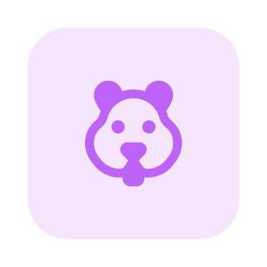 Hamsterlar bir çeşit evcil faredir..