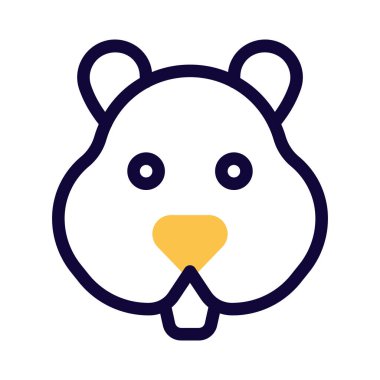 Hamsterlar bir çeşit evcil faredir..