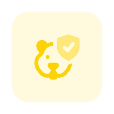 Aşıları olan hamsterlar satılık..