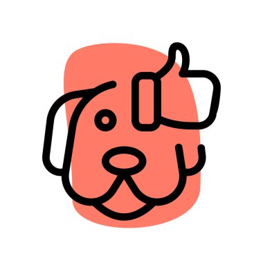 Evcil hayvan dükkanlarında çok satan köpek cinsi..