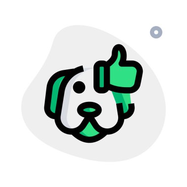 Evcil hayvan dükkanlarında çok satan köpek cinsi..