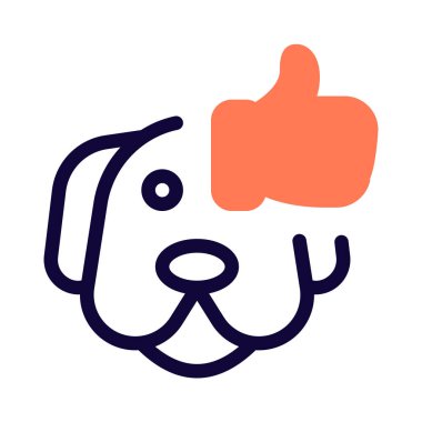 Evcil hayvan dükkanlarında çok satan köpek cinsi..