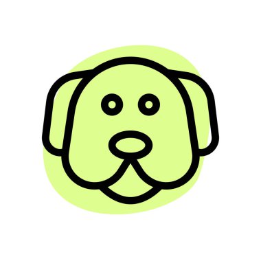 Labrador, evcil hayvanlar için popüler bir tür..