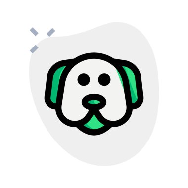 Labrador, evcil hayvanlar için popüler bir tür..