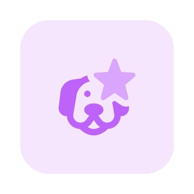 Evcil hayvan dükkanları birinci sınıf köpek cinsi satar..