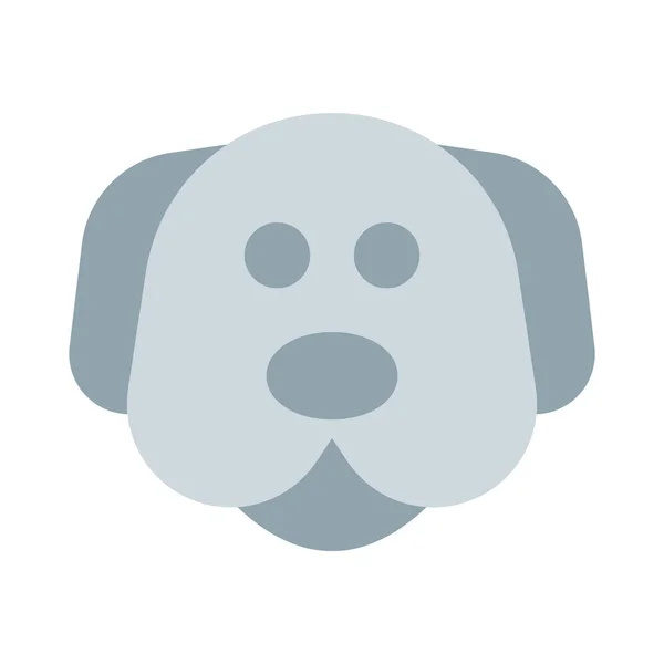 Labrador Una Raza Popular Para Mascotas — Archivo Imágenes Vectoriales