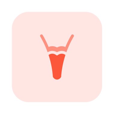 Askılı, modaya uygun pamuk kumaş iç çamaşırı..