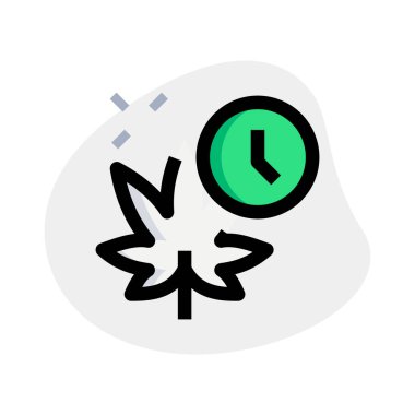 Mağazada laboratuvar yetiştirilmiş yasal kenevir esrarı