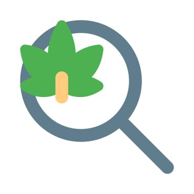 Beyaz bir arkaplanda izole edilmiş kenevir yaprağı araştırması