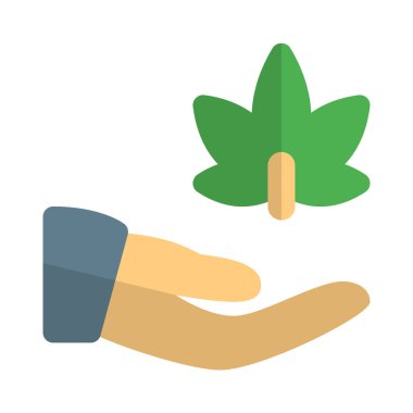 Beyaz arka planda izole edilmiş esrar paylaşımı