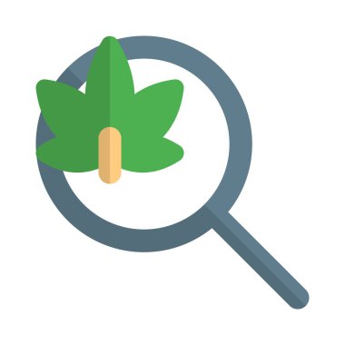 Beyaz bir arkaplanda izole edilmiş kenevir yaprağı araştırması