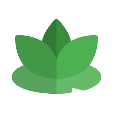 Nilüfer çiçeği vücut tedavi spa 'sının bir sembolüdür.