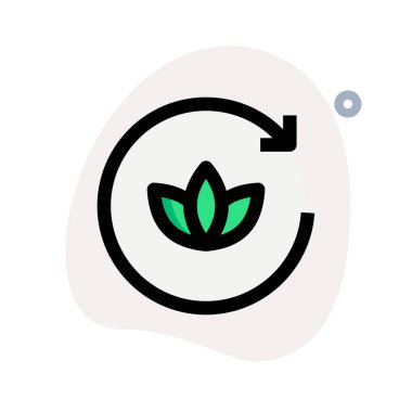 Beyaz arka planda izole edilmiş spa ve aromaterapi randevusu