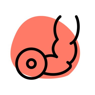 Vücut geliştirme ve kol dönüşümünü arttırmak için manken kaldırma