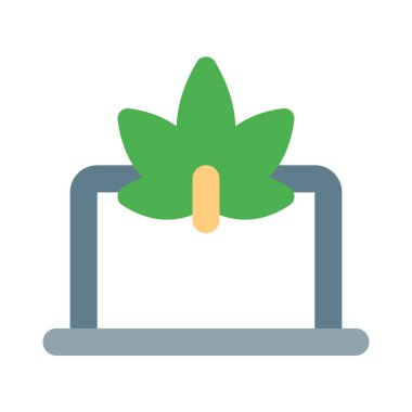 Bilgisayarda yapılan esrar araştırması beyaz arkaplanda izole edildi