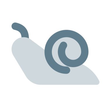 Beyaz arka planda izole edilmiş kapaklı bir salyangoz.