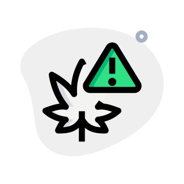 WHO 'nun esrar kullanımına ilişkin sağlık uyarısı