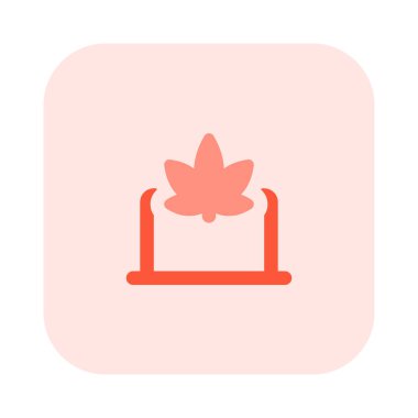 Bilgisayarda yapılan esrar araştırması beyaz arkaplanda izole edildi