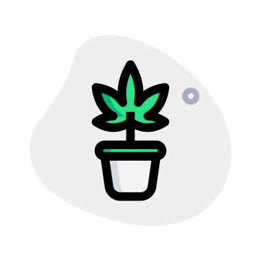 Ecstasy popüler ilaç fabrikasının kısa vadeli etkileri