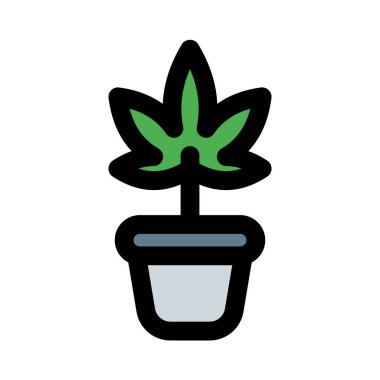 Ecstasy popüler ilaç fabrikasının kısa vadeli etkileri