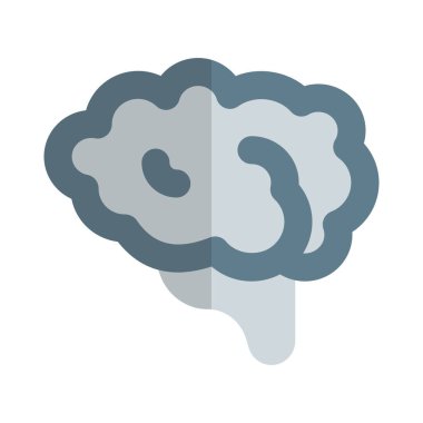 Beyin, insan vücudundaki en büyük ve en karmaşık organlardan biridir.