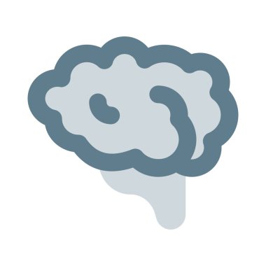 Beyin, insan vücudundaki en büyük ve en karmaşık organlardan biridir.