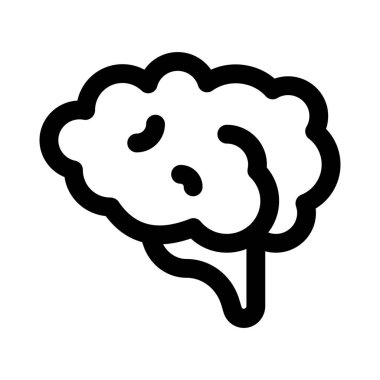 Beyin, insan vücudundaki en büyük ve en karmaşık organlardan biridir.