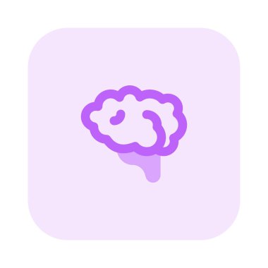 Beyin, insan vücudundaki en büyük ve en karmaşık organlardan biridir.