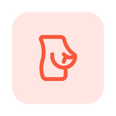 Göğüs, göğüs kaslarını saran dokudur.