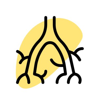 Bronkus, solunum sisteminde ciğerlere hava ileten bir geçit ya da hava yolu.