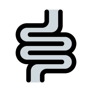 Kalın bağırsağa da kalın bağırsak denir.