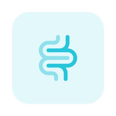 Kalın bağırsağa da kalın bağırsak denir.