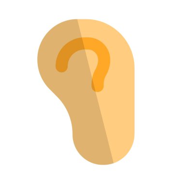 Kulak, insan ve dengede işitme organıdır.