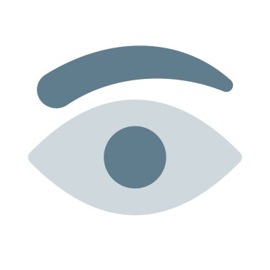 Kaş, gözün üzerindeki kalın ve kısa kıllardan oluşur..