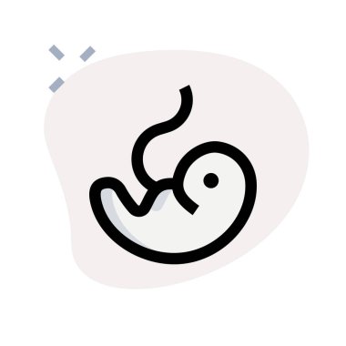 Doğmamış ya da doğmamış bir anne yavrusu.