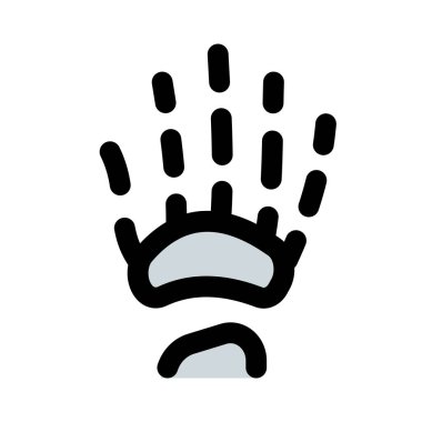 İnsan elinin iskeleti 27 kemikten oluşur.