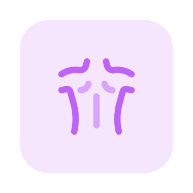 İnsan sırtı, aynı zamanda dorsum olarak da bilinir..