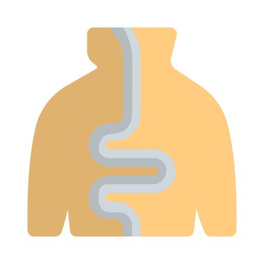 İnsan sindirim sistemi, sindirim sürecinde insan vücudunda kullanılan sistem..