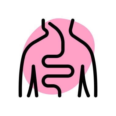 İnsan sindirim sistemi, sindirim sürecinde insan vücudunda kullanılan sistem..