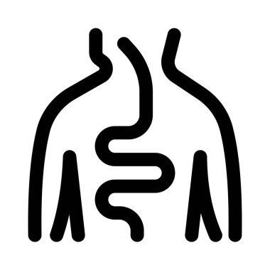 İnsan sindirim sistemi, sindirim sürecinde insan vücudunda kullanılan sistem..