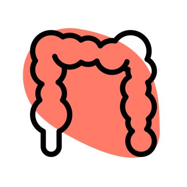 The intestines are a long, continuous tube running from the stomach to the anus